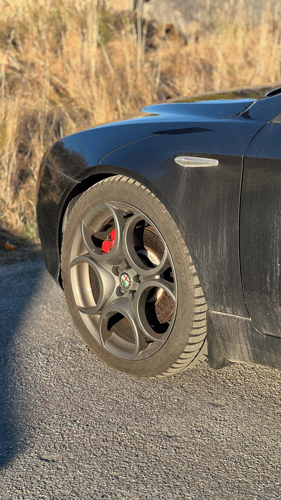 Alfa Romeo 159 939 Mudflaps set on the car 4